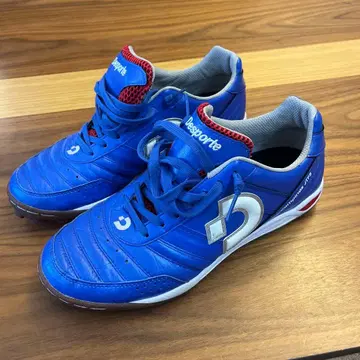 Desporte 풋살화 파랑