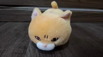 AMUSE 고양이 봉제 인형