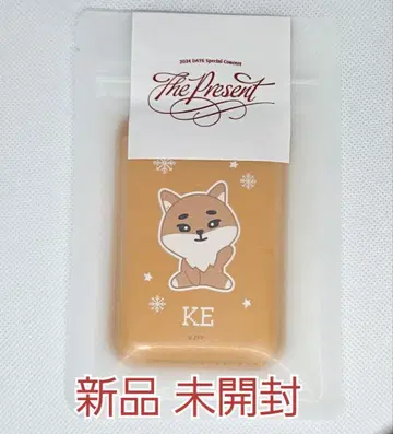 DAY6 영케이 DENIMALZ MAGNETIC CARD WALLET