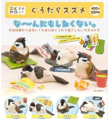 새의 휴일 빈둥거리는 참새 전 5종 풀컴프