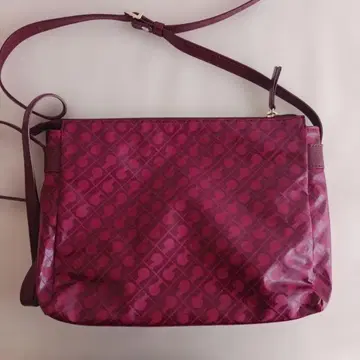 레리안 게라르디니 소프티 미니백