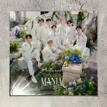 스키즈 STRAY KIDS MANIAC 팜플렛