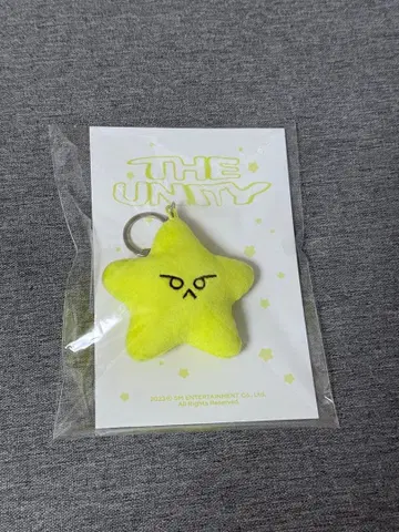 Nct 127 도영 불가사리 키링 트레이딩 카드 the unity