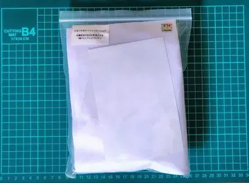 대전마인 이가 아사기 6월의 신부 레진 키트 1/7 스케일