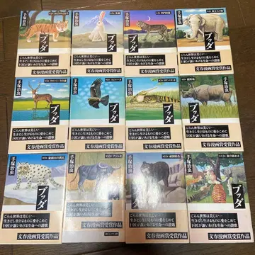 데즈카 오사무 붓다 전 12권 세트 오비 포함