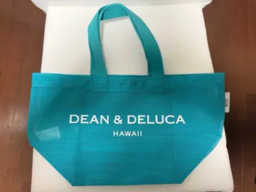 [ 새상품 ] 하와이 한정판 딘앤델루카 2024년 민트 그린