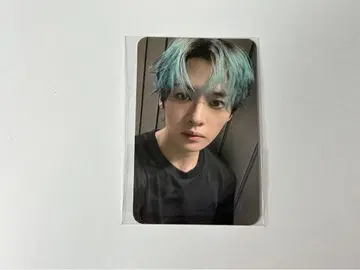 리노 트레이딩 카드