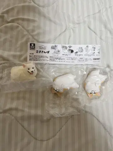 코기산포 3개 세트