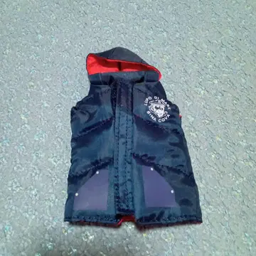 LUPO DI MARE SINA COVA 4 키케이스 시나코바