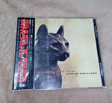 The Sister Machine Gun/Sins of the Flesh