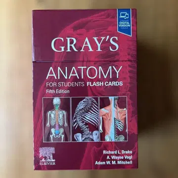 GRAY'S ANATOMY 플래시 카드 제5판