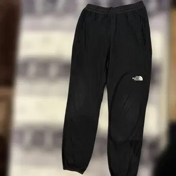THE NORTH FACE 마운틴 버사 마이크로 팬츠 XL