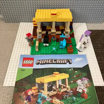 레고 마인크래프트 21171