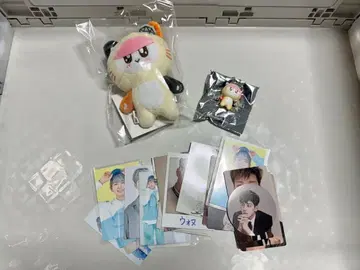 SEVENTEEN 고양이 꼬리 모자 세트