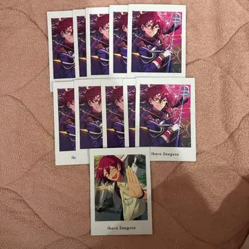 앙스타 파샤츠 vol.6 사에구사 이바라