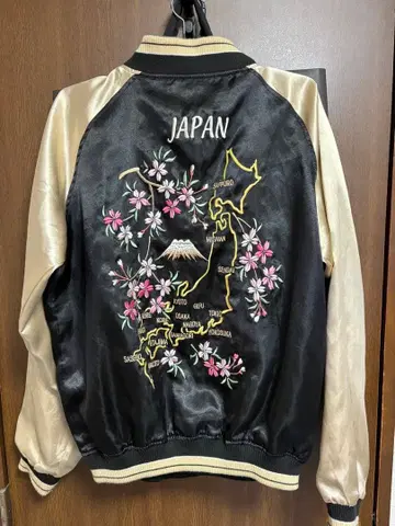 스카잔 리버서블