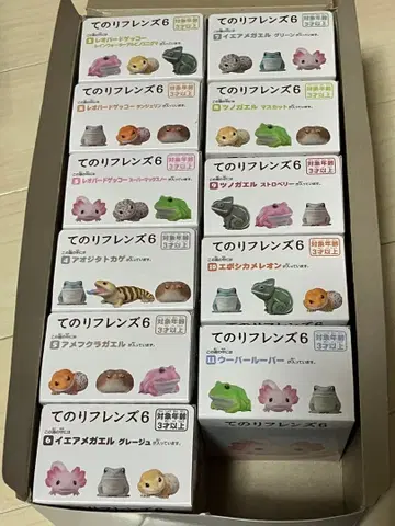 테노리 프렌즈 6 11종류 컴플리트 세트