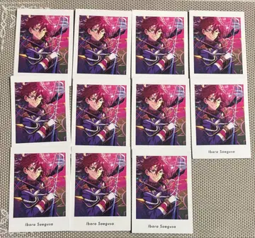 앙스타 파샤츠 사에구사 이바라