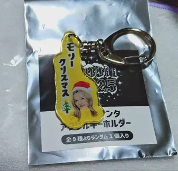 BUDDiiS MORRIE 랜덤 아크링 키링