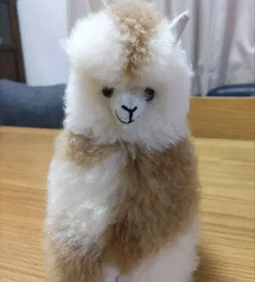 알파카 디자인 봉제 인형 약 20cm