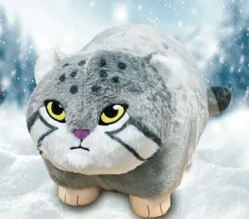 희귀 레어 FANS 마눌고양이 봉제 인형 XL 프리미엄 고양이 고양이