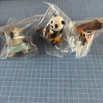 동물 사우나 세트