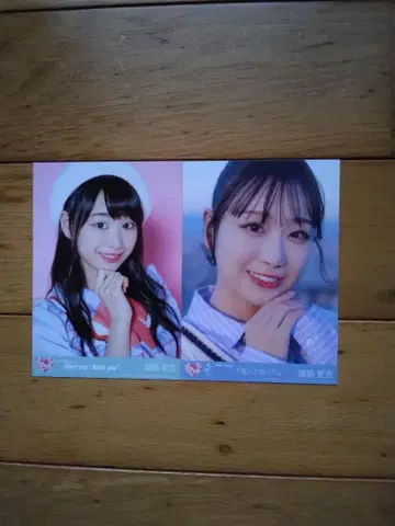 = LOVE 타키와키 쇼 브로마이드 묶음 판매