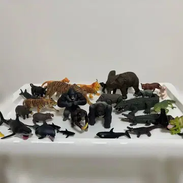 아니아 동물 피규어 모음