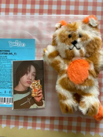 BOYNEXTDOOR 푸네쿠도 케피