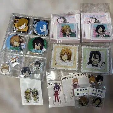테시마, 아오야기 아크릴 외 굿즈 세트