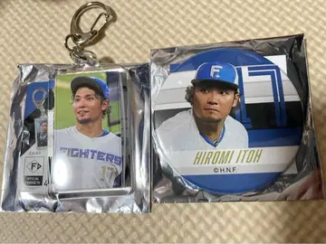 이토 히로미 미니 키링, 캔뱃지