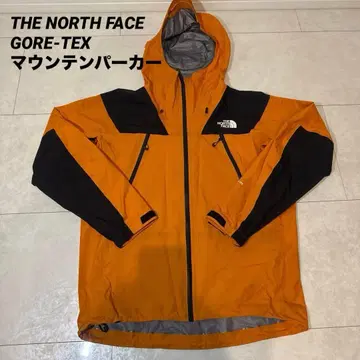 THE NORTH FACE GORE-TEX 마운틴 파카