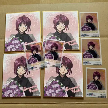 건담 SEED 루나마리아 꽃다발 색지 특전 클리어 카드 세트
