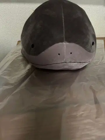 포켓몬스터 모후굿토 봉제 인형 ~도오~