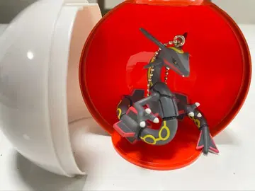 포켓몬 가샤토 콜렉트 블랙 레쿠자