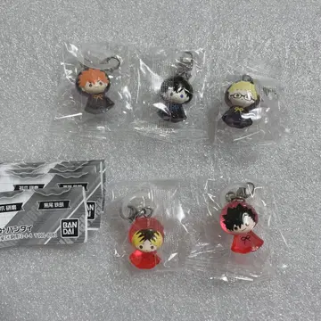 하이큐 메지루시 액세서리 컴플리트 세트 전 5종