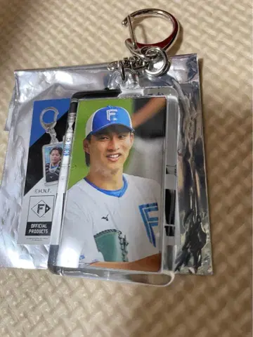 타츠코타 미니 키링