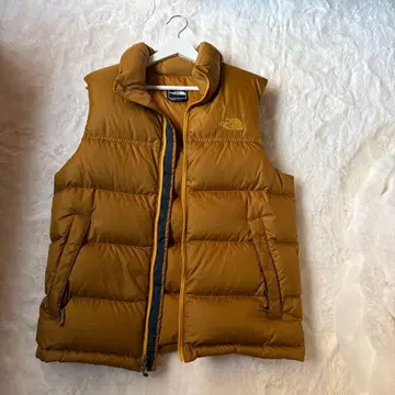 The North Face 브라운 다운 베스트