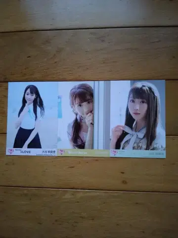 = LOVE 오타니 에미리 브로마이드 묶음 판매