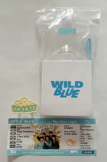 WILD BLUE 2025 응원봉 응원봉 액세서리 미야타케 하야테
