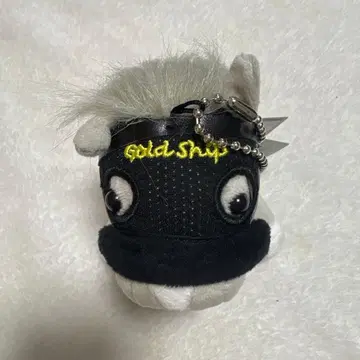 아이돌 호스 제151회 천황상(봄) 골드십