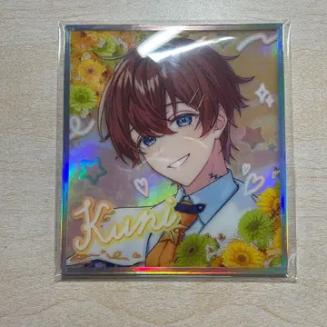 스타폴라 아크릴 플레이트 쿠니