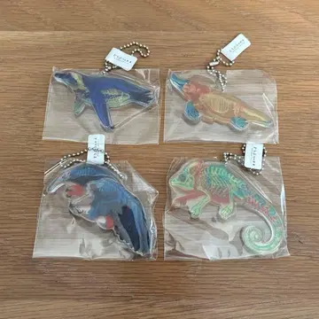 동물의 뼈 아크릴 키링 4종