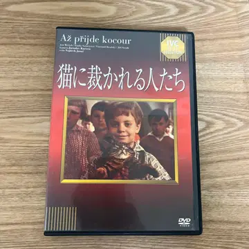 고양이에게 재판받는 사람들 DVD 레어 DVD