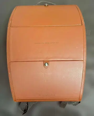 BLAUDESIGN 백팩 하드쉘 백팩