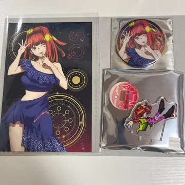 그노시아 애니메이트 페어 SQ