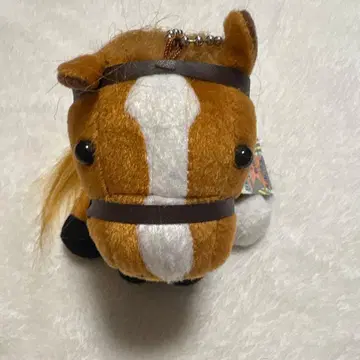 오르페브르 (아리마 기념) 봉제 인형 아이돌 호스 S 사이즈