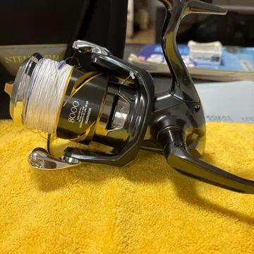 25 스텔라 SW 8000HG