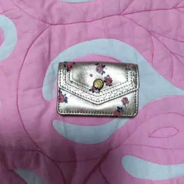 캐스키드슨의 카드 케이스입니다.