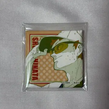 히나타 쇼요 버라이어티 백 캔뱃지